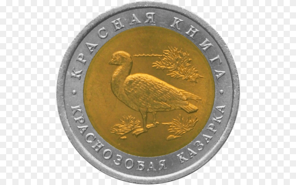 0002r Krasnozobaya Kazarka Coin, Animal, Bird, Money Free Transparent Png
