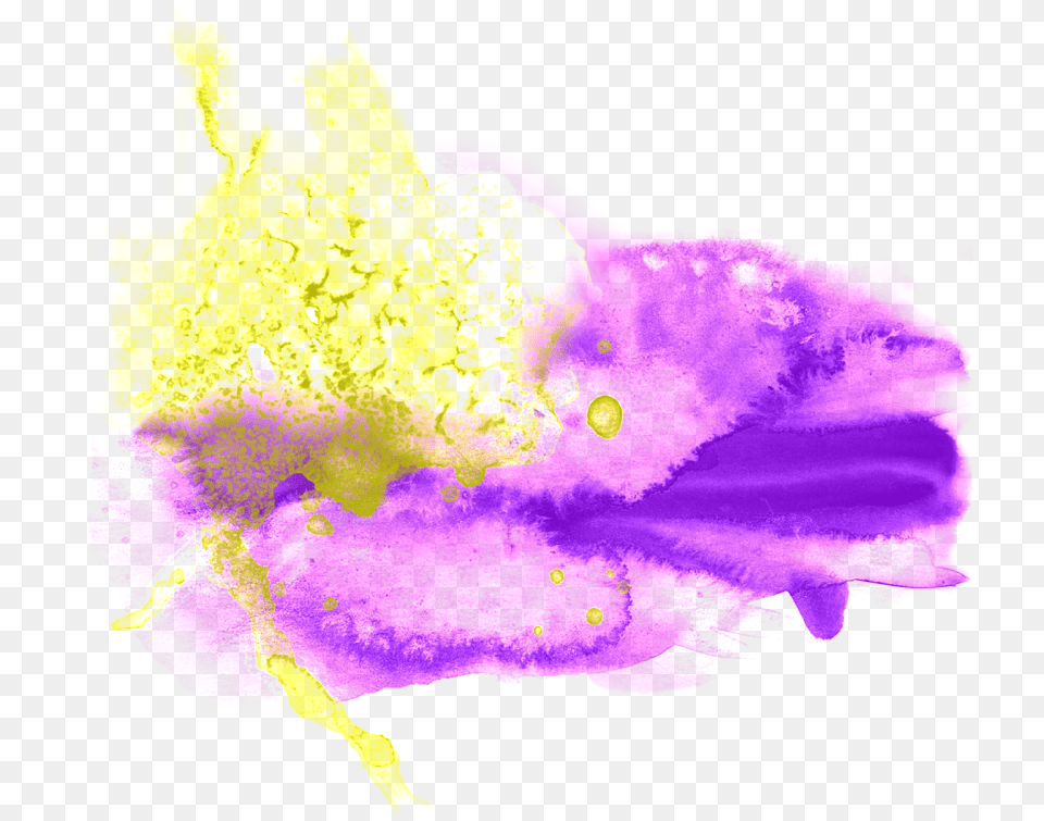 0023 Splash Picture By Kia31 Abstract Colors Transparent, Art, Graphics, Purple, Plant Png