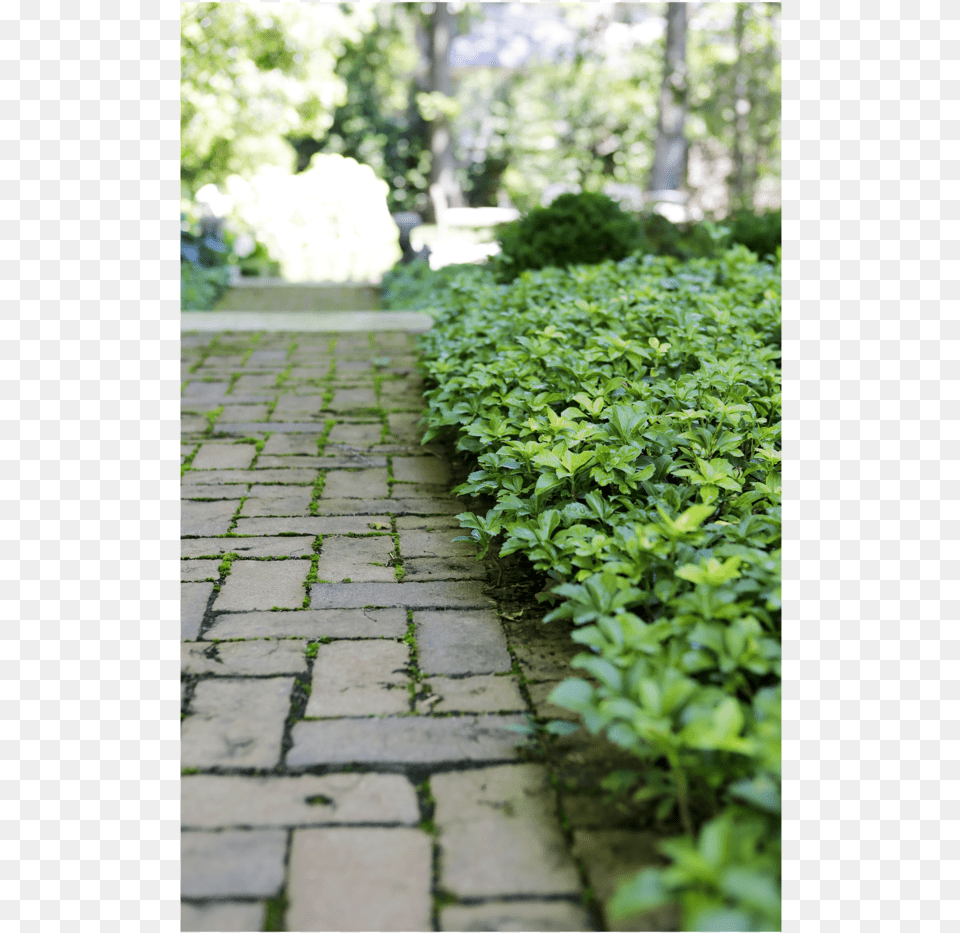 0094 Copy, Cobblestone, Road, Path, Walkway Png Image