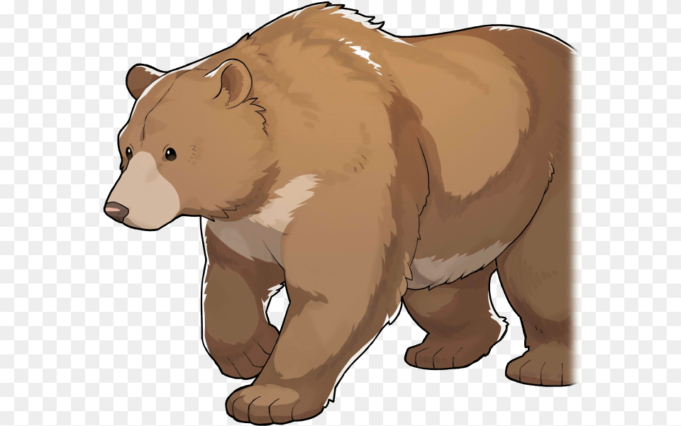 01 Base Portrait Grizzly Bear, Animal, Brown Bear, Mammal, Wildlife Png