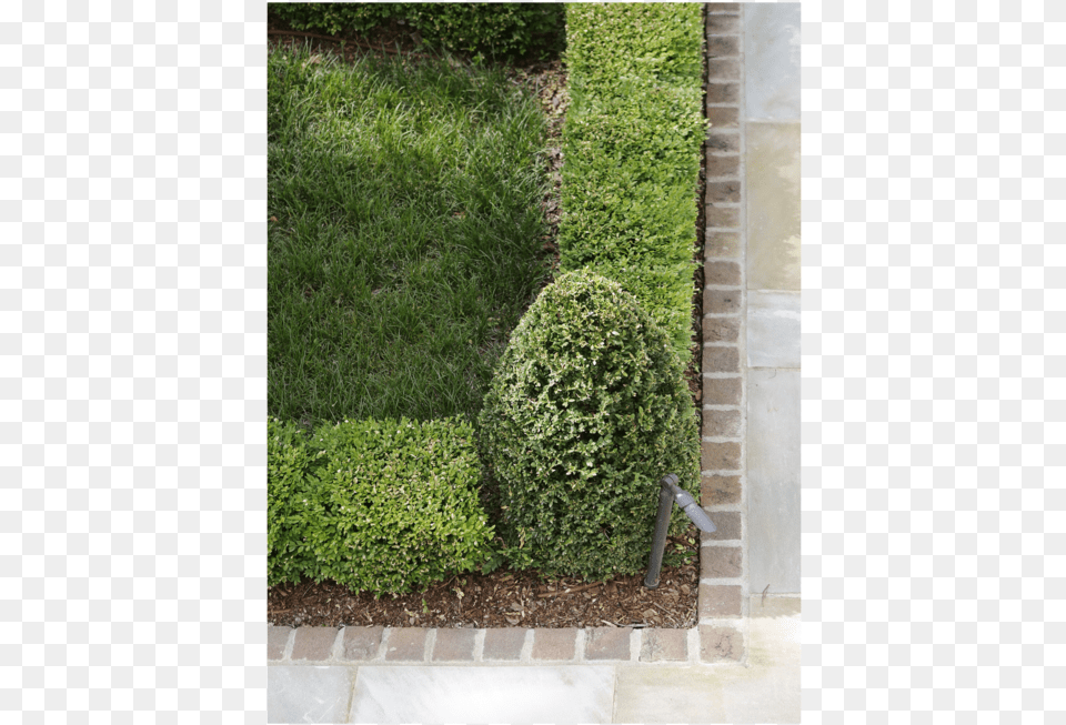 0280 Copy, Vegetation, Plant, Outdoors, Garden Free Png Download