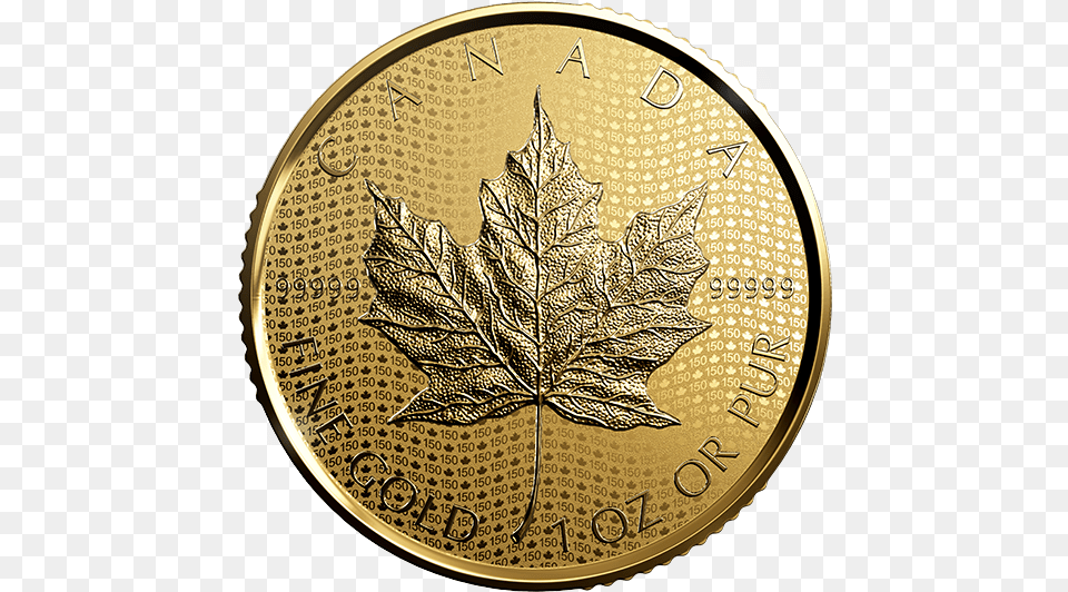 03 Usd Coin, Gold, Leaf, Plant Png Image