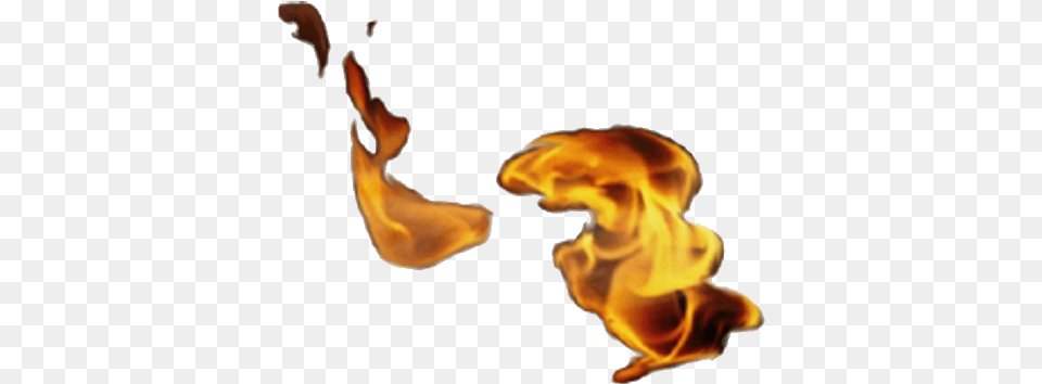 06 Feb 2009 Fire, Flame, Person, Animal, Bird Free Png Download