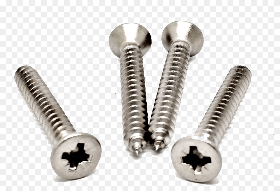 1 4 Stainless Steel Screw, Machine, Animal, Insect, Invertebrate Free Transparent Png