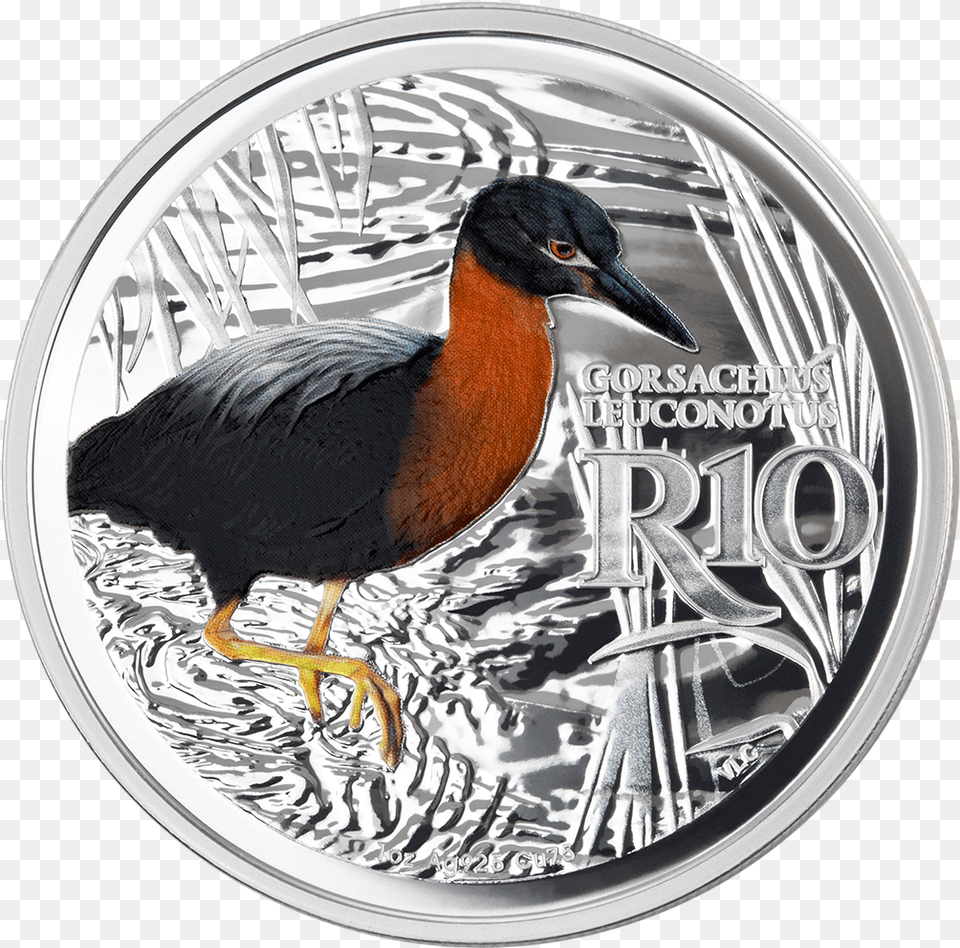1 Duck, Animal, Bird, Coin, Money Png Image