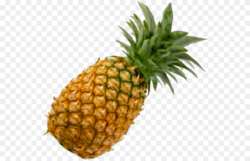1 Pineapple, Food, Fruit, Plant, Produce Png Image