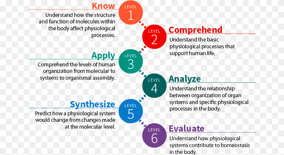 1 Objectives Anatomy, Light, Traffic Light Free Png Download