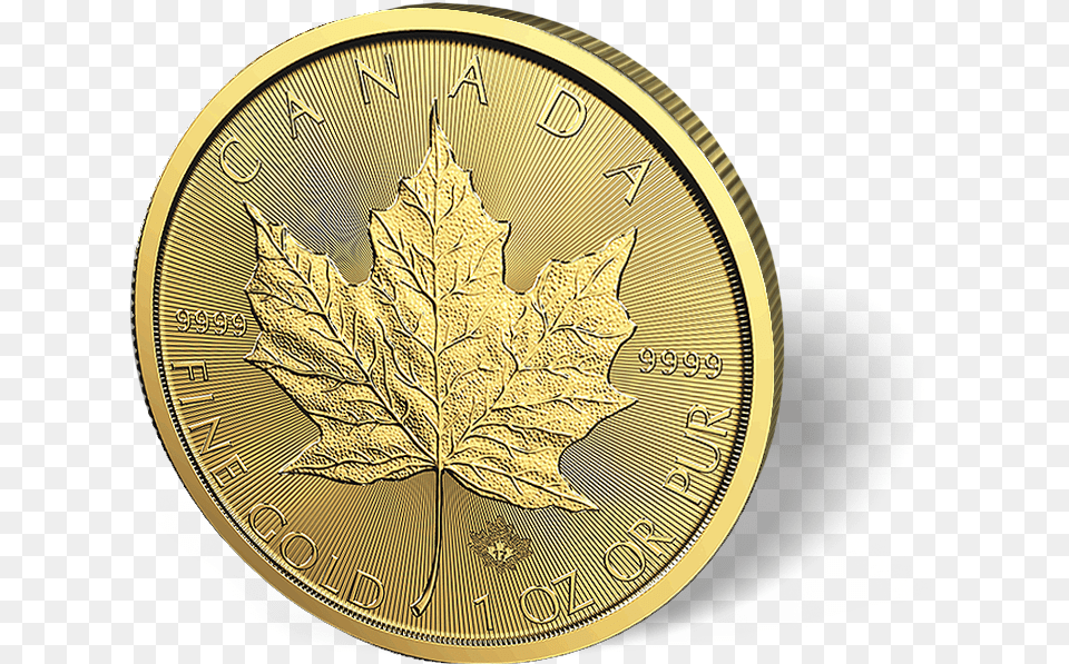 1 Oz Canadian Gold Maple Leaf Coins Canadian Gold Solid, Plant, Coin, Money, Wristwatch Free Png Download