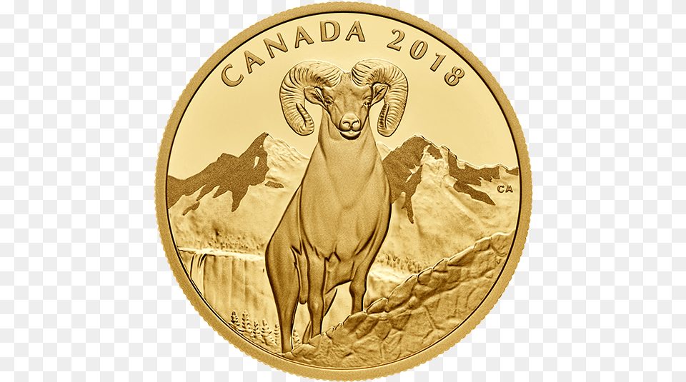 1 Oz Pure Gold Coin Bighorn Sheep Mintage 400 Bighorn Sheep, Animal, Cattle, Cow, Livestock Png Image