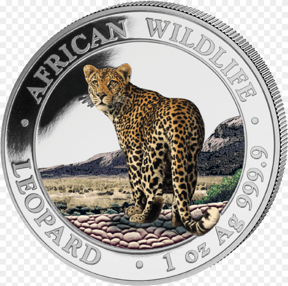 1 Somalia African Wildlife Coin 2018, Animal, Mammal, Panther, Money Png Image