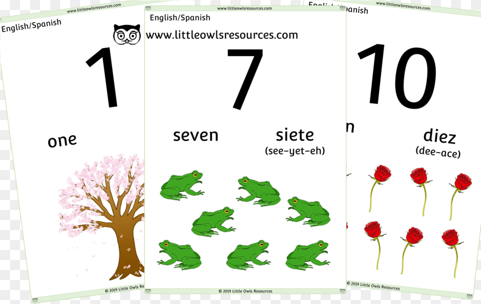 10 Counting Cover, Text, Symbol, Number, Plant Free Png Download