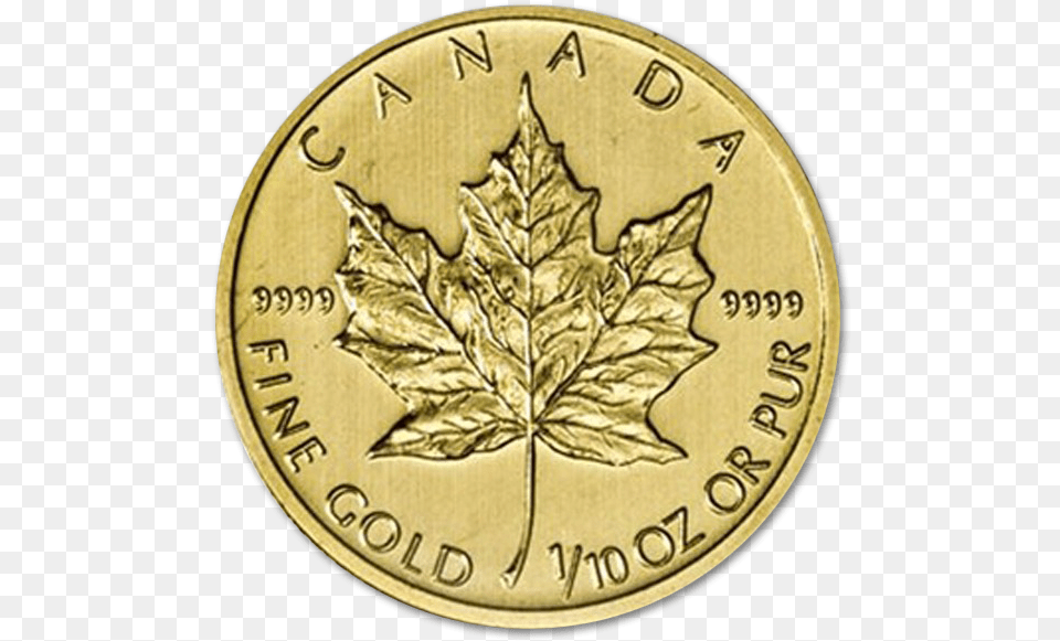 10 Oz Canadian Gold Maple Leaf, Plant, Coin, Money Free Png Download