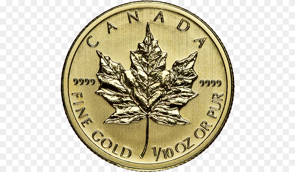 10 Oz Maple Leaf Gold, Plant, Silver, Coin, Money Free Png