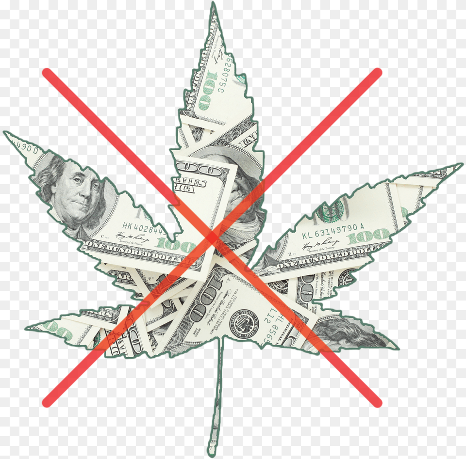 100 Dollar Bill, Leaf, Plant, Adult, Male Free Transparent Png