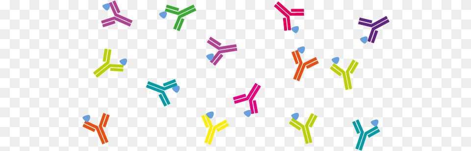 Antibody, Paper, Knot Free Transparent Png