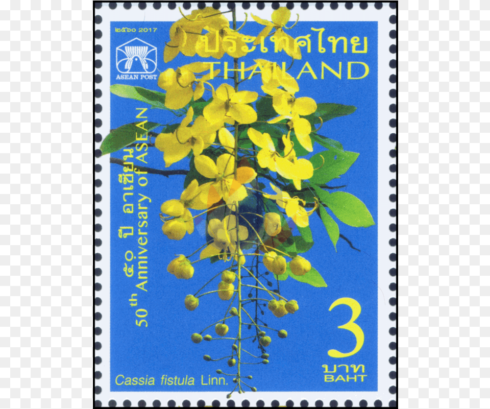 Kani Konna, Plant, Postage Stamp Free Png
