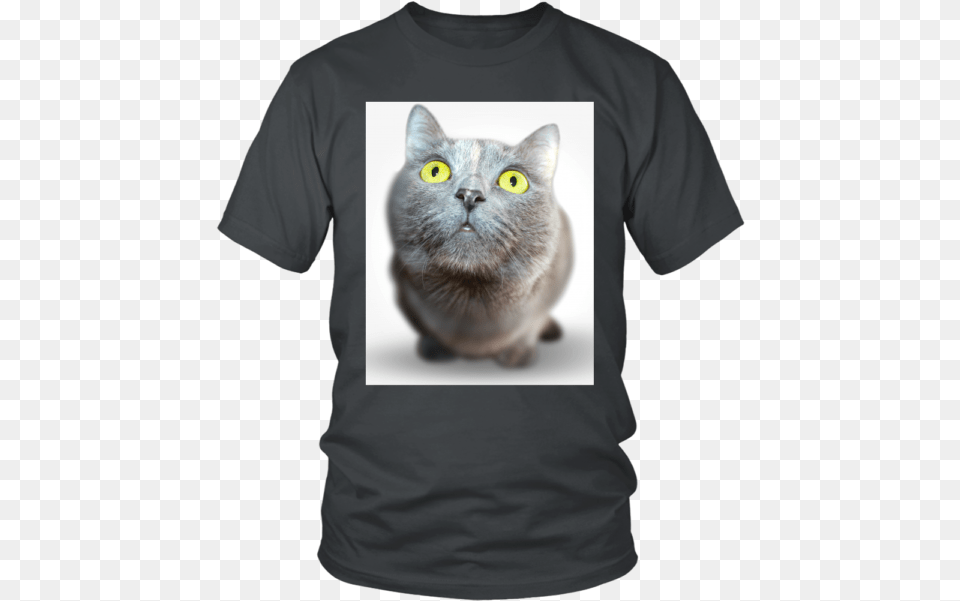 1 All Men Are Created Equal Are Born, Clothing, T-shirt, Animal, Cat Png