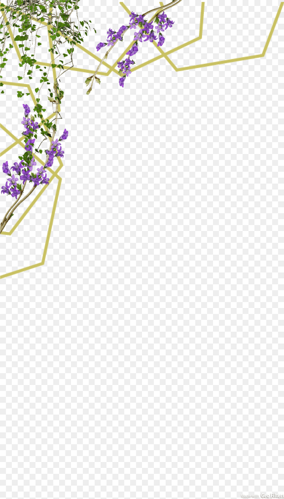 Marble, Flower, Plant, Purple, Flower Arrangement Png