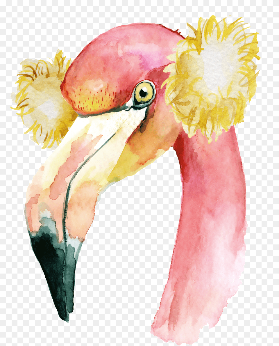 1024 X Oss Process Imagequalityq 70watermark Flamingo In A Santa Hat, Animal, Beak, Bird Png