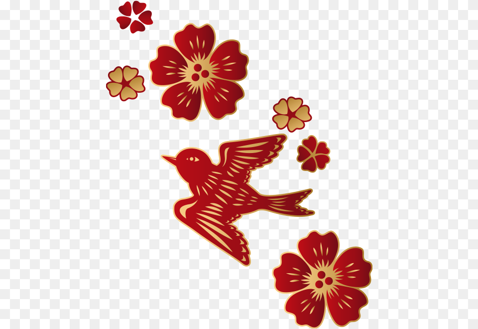 1024 X Oss Processimagequalityq 70watermarkimage Illustration, Flower, Plant, Hibiscus, Petal Png Image