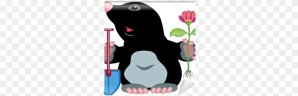 Mole, Animal Free Transparent Png