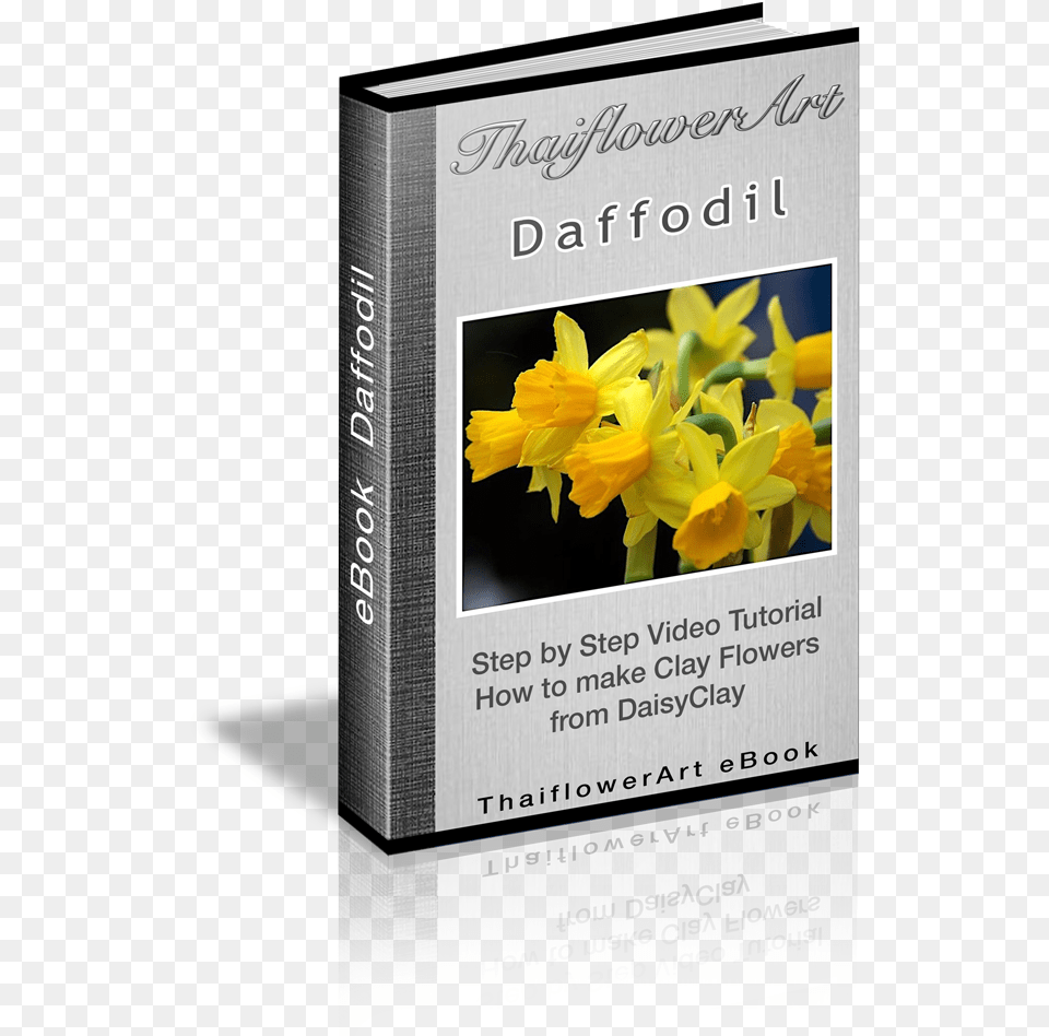 Daffodil, Flower, Plant, Book, Publication Free Png Download