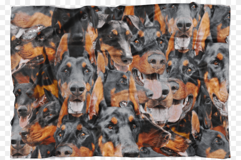 Doberman, Art, Painting, Animal, Canine Free Png Download