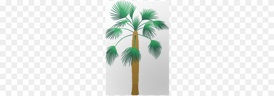 Palm Tree Vector, Palm Tree, Plant Free Png