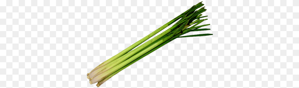 Lemongrass, Food, Produce, Blade, Dagger Free Transparent Png