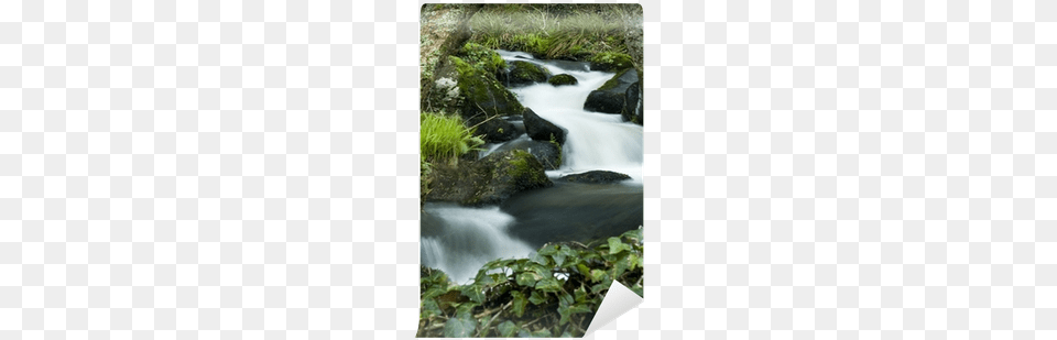 Water Stream, Nature, Outdoors, Creek Free Transparent Png