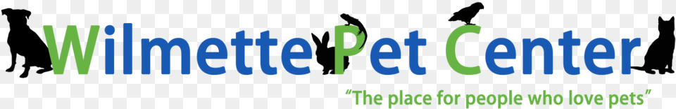 Website Logo, Green, Text Free Transparent Png