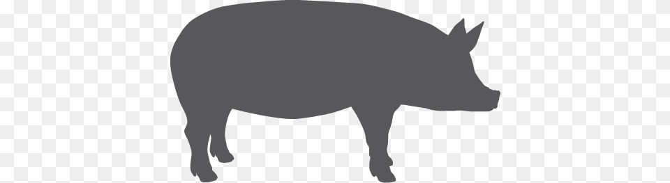 Pig Silhouette, Animal, Boar, Hog, Mammal Free Png