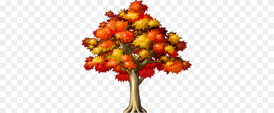 10th Anniversary Meeting Maple Tree Fall Flowers Bouquet, Leaf, Plant Free Png Download