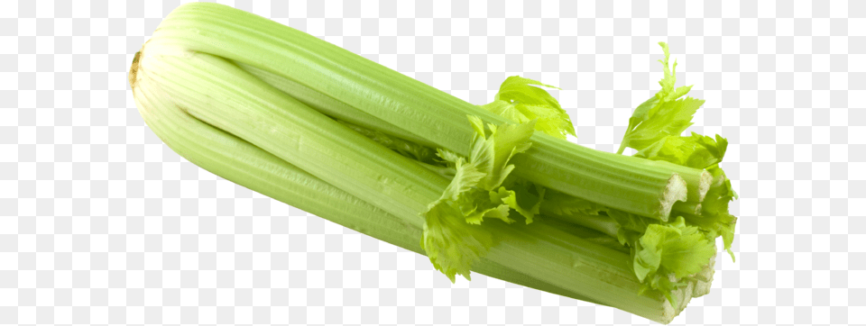 Celery, Food, Leek, Plant, Produce Free Transparent Png