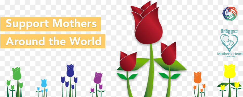 Mother, Flower, Plant, Rose, Tulip Free Png Download
