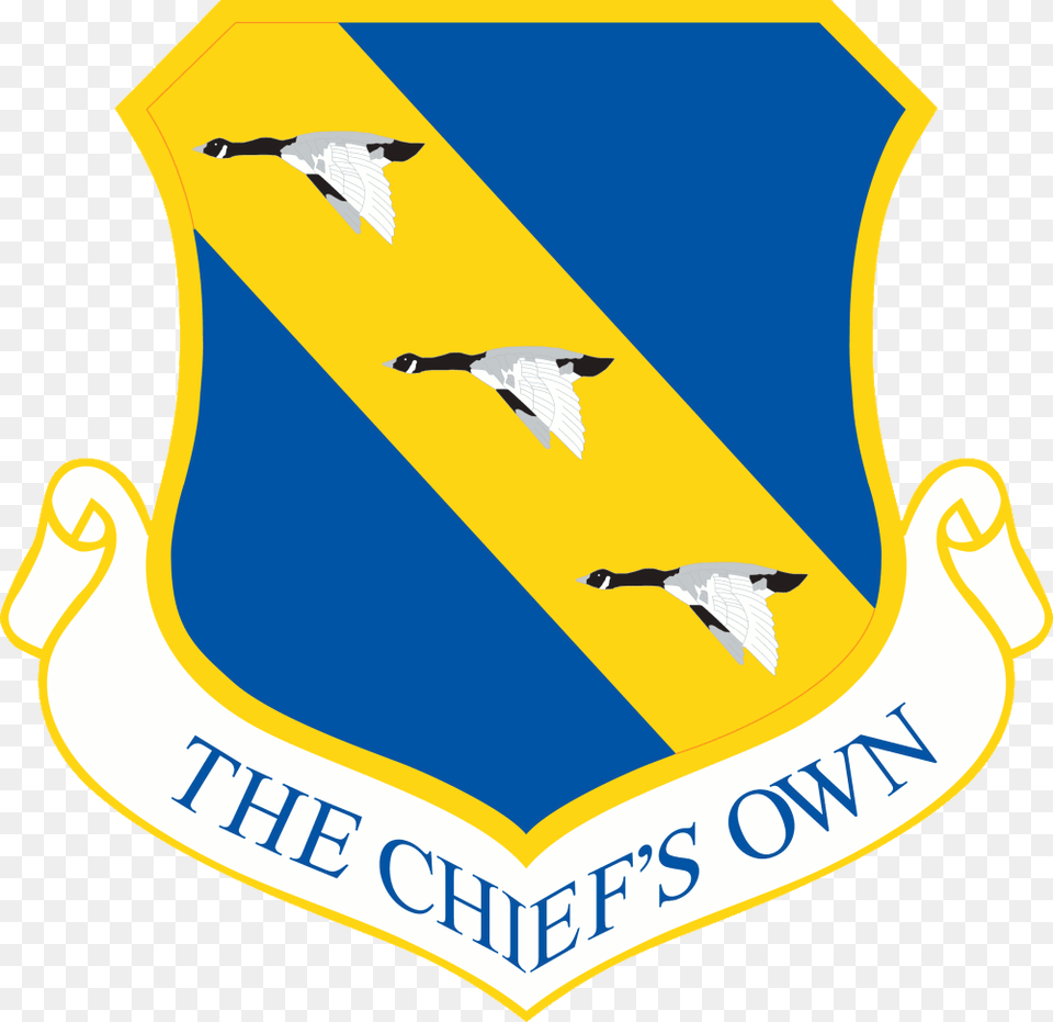 11th Wing Headquarters Air Force Logo, Animal, Bird, Penguin, Symbol Png Image