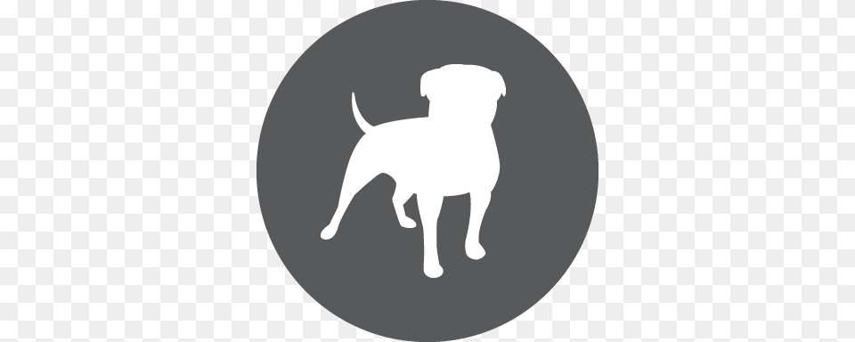 Dog Icon, Silhouette, Stencil, Animal, Canine Png Image