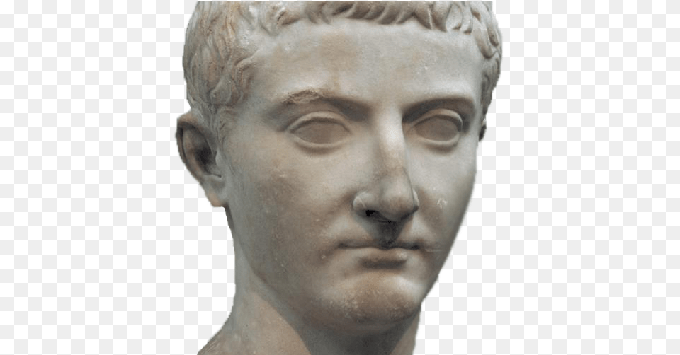 Roman Bust, Adult, Male, Man, Person Png