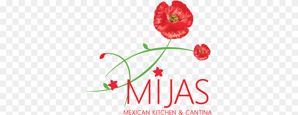 Mexican Flowers, Flower, Plant, Poppy Free Png