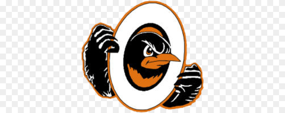Orioles Logo, Animal, Beak, Bird, Clothing Png