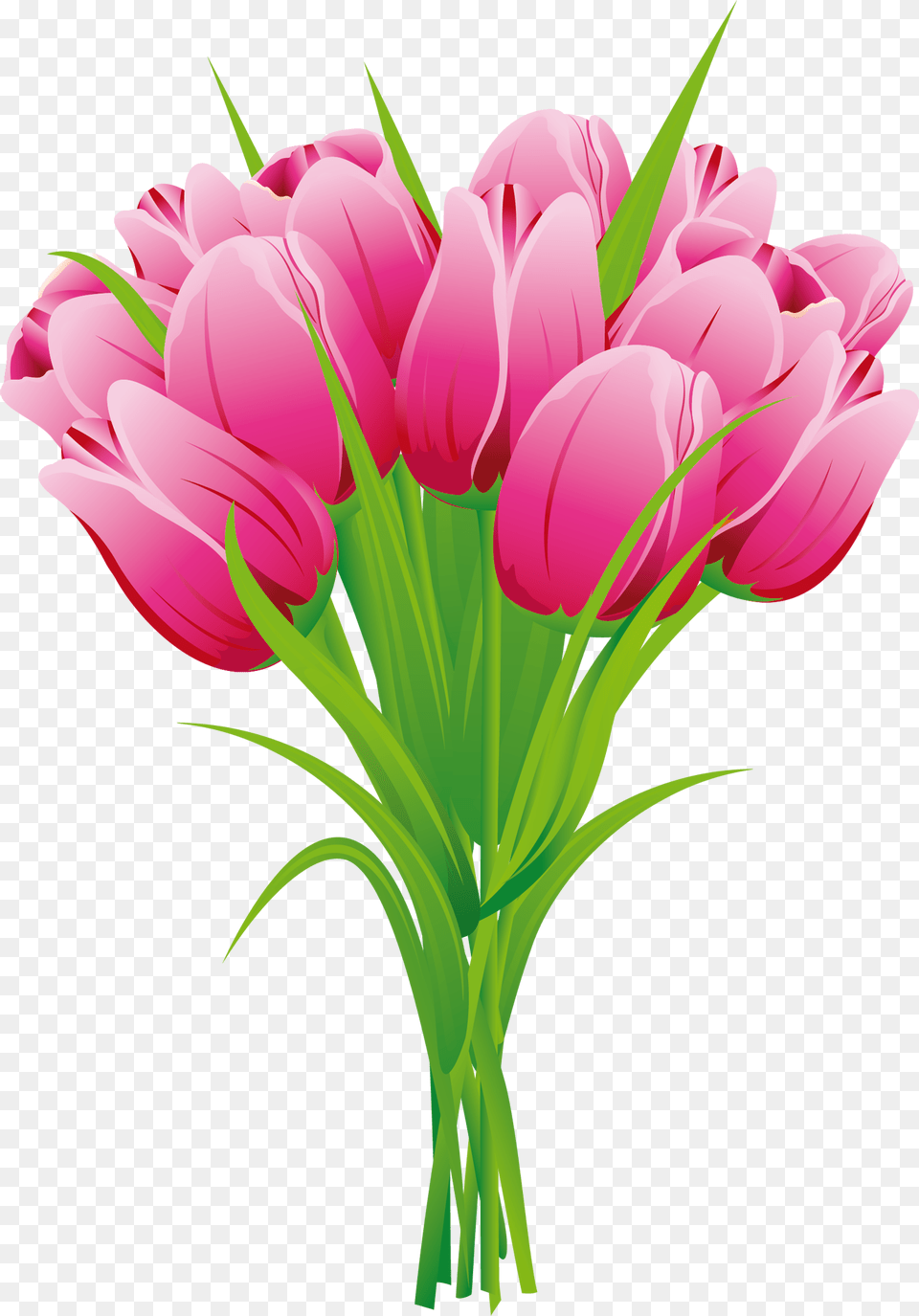 Orig Tulip Bouquet Clipart, Art, Plant, Graphics, Flower Png