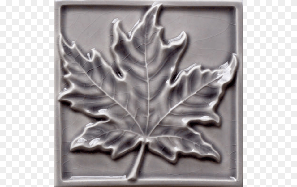 14quot X 4 14quot Maple Leaf, Plant, Tree, Maple Leaf, Ice Png Image