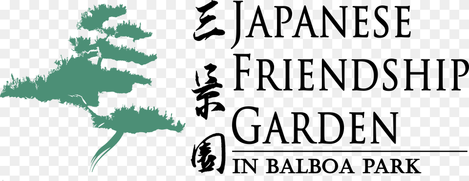 14th Annual Cherry Blossom Festival Japanese Friendship Garden, Green, Leaf, Plant, Tree Free Transparent Png