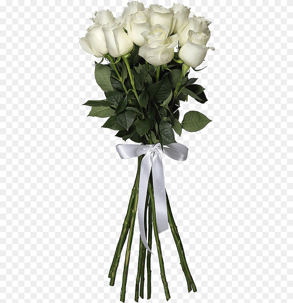 White Roses, Flower, Flower Arrangement, Flower Bouquet, Plant Free Png
