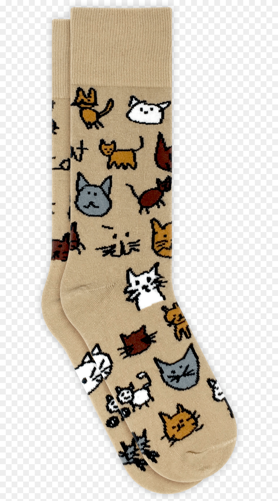 Cat, Clothing, Hosiery, Sock, Person Png Image