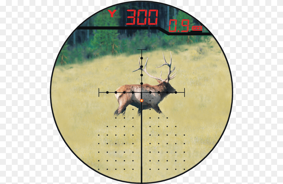 Reticle, Animal, Deer, Mammal, Wildlife Png