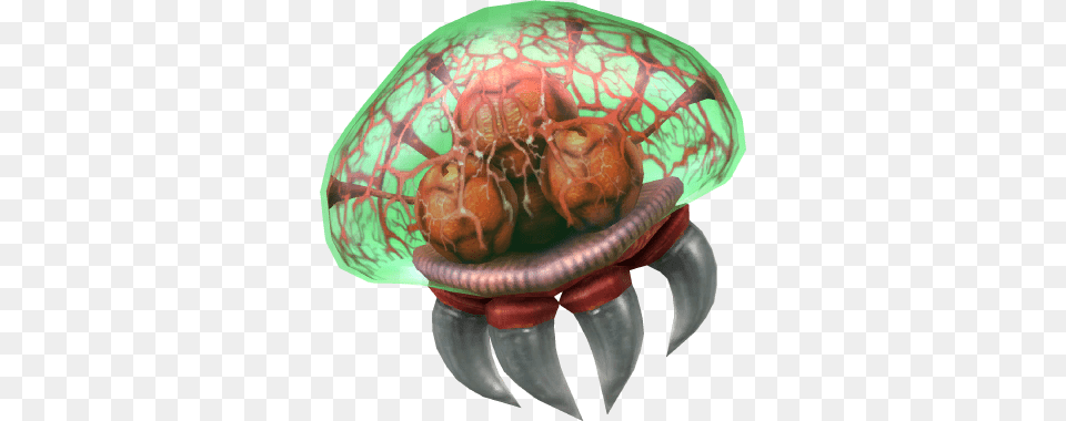 Metroid, Sphere, Alien, Food Free Transparent Png