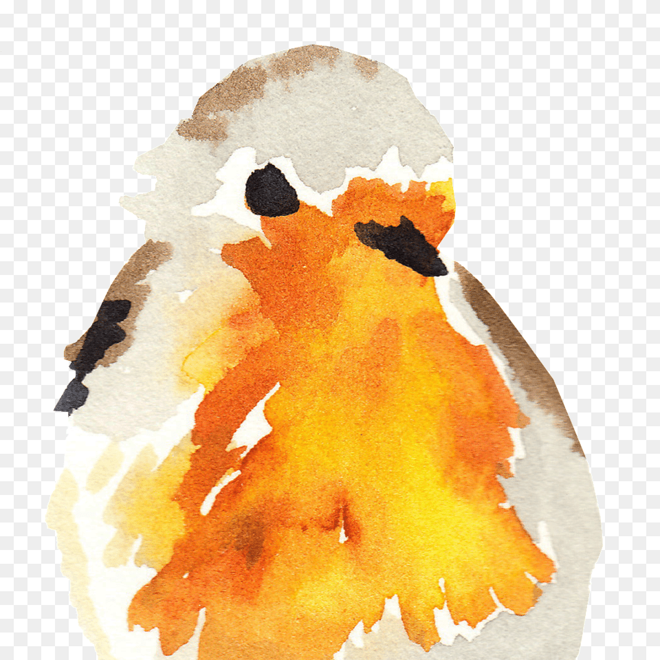 Ushanka, Animal, Bird, Chicken, Fowl Png