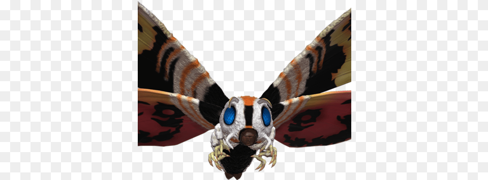 Mothra, Animal, Bee, Insect, Invertebrate Png