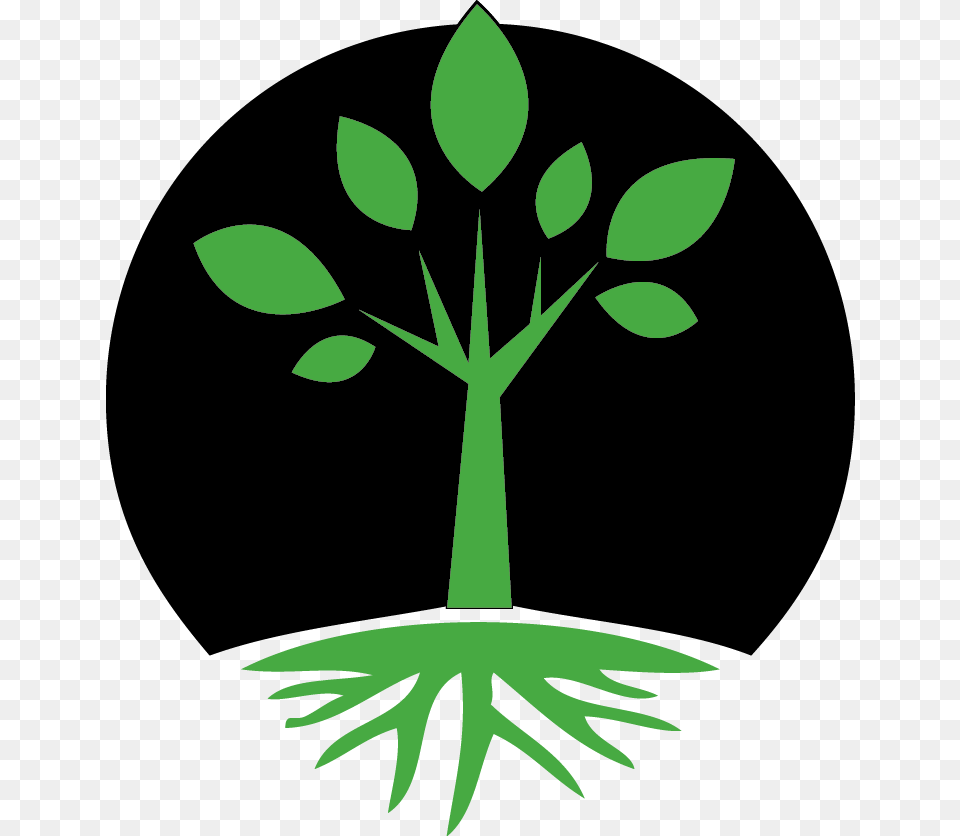 16 So Christ Himself Gave The Apostles The Prophets Emblem, Green, Herbal, Herbs, Leaf Png